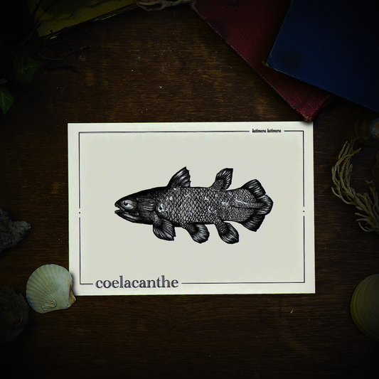 COELACANTHE