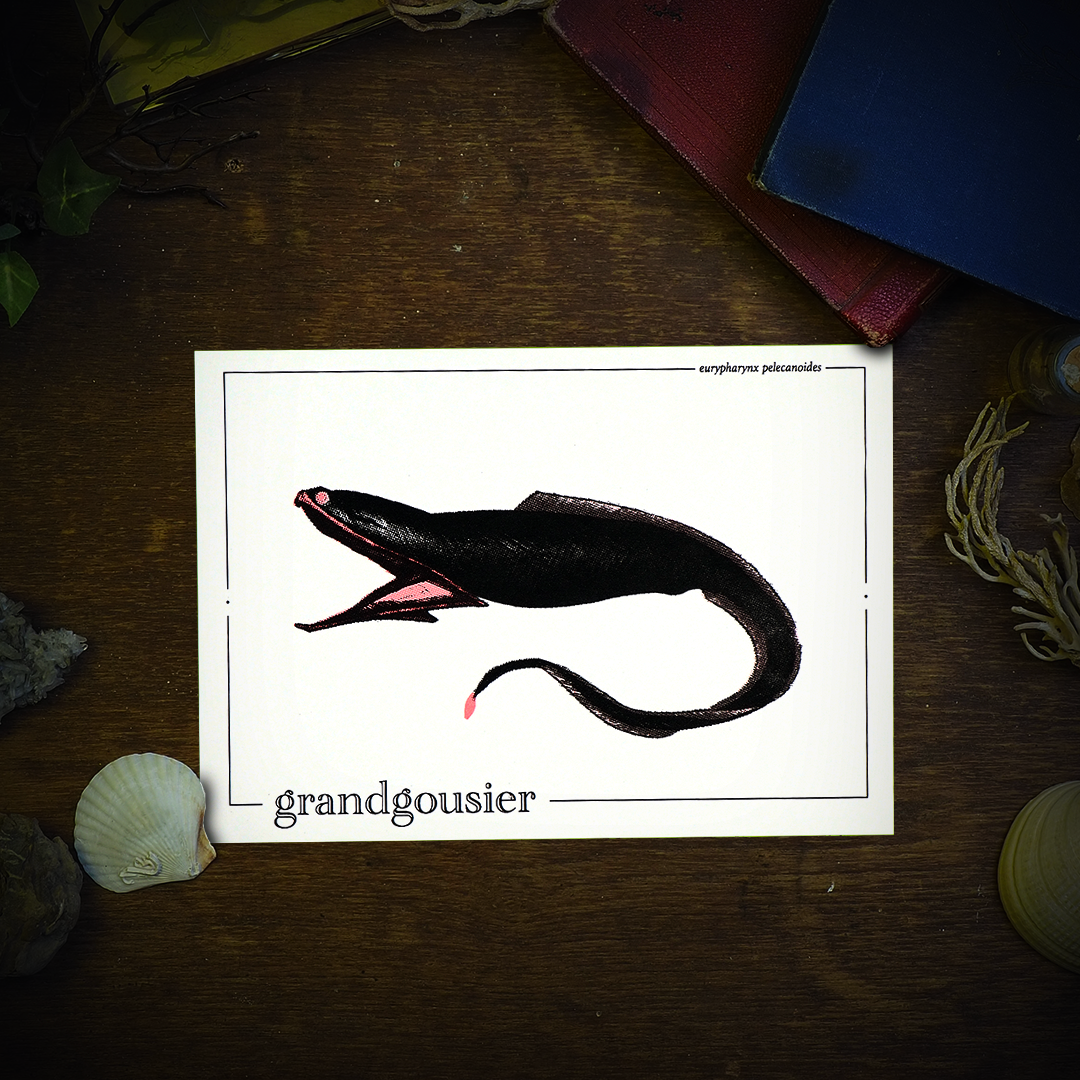 GRANDGOUSIER