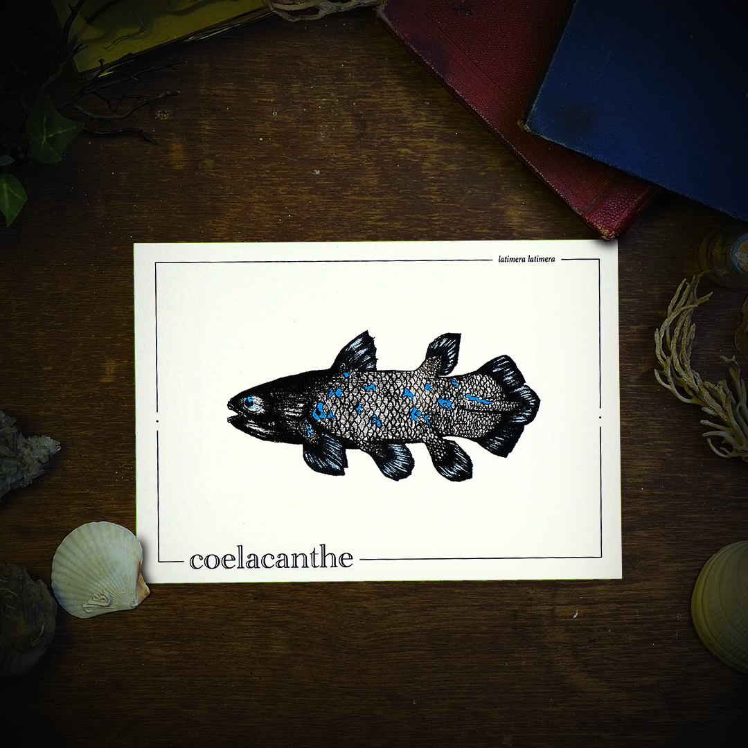 COELACANTHE