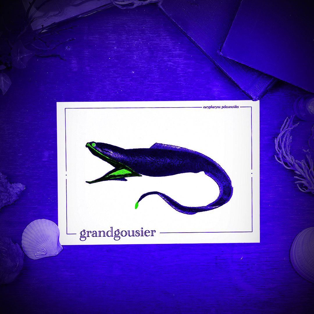 GRANDGOUSIER