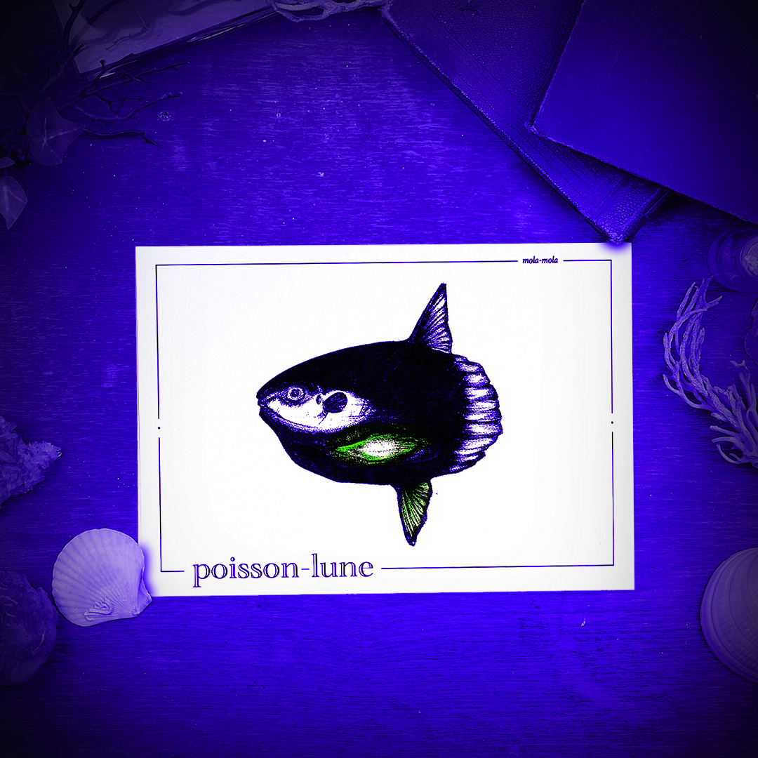 POISSON-LUNE