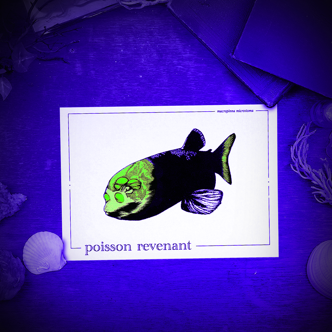 POISSON-REVENANT